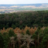 2007H 073 Vom Aussichtsturm